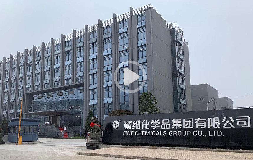 精细化学品集团有限公